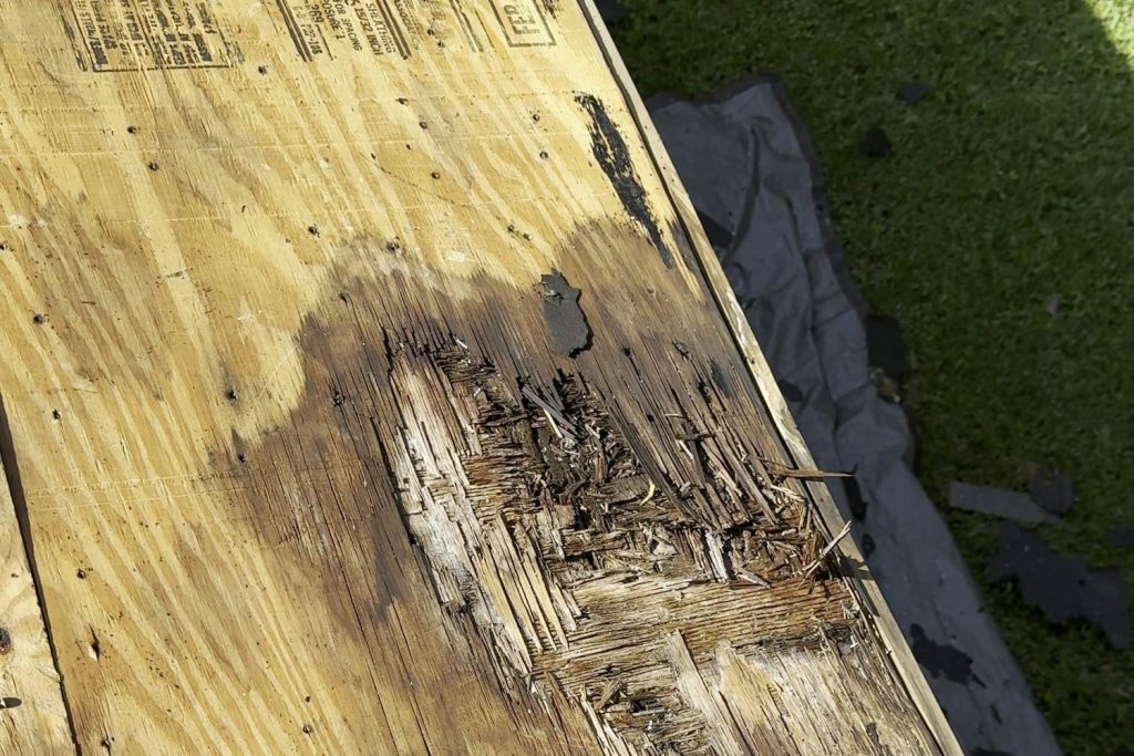 Rotted, water-stained plywood roof decking exposed during a tear-off