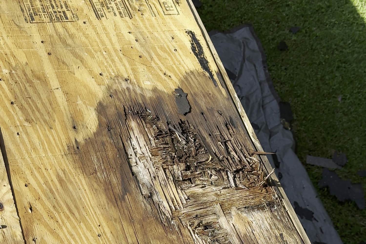 Rotted, water-stained plywood roof decking exposed during a tear-off
